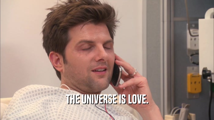 THE UNIVERSE IS LOVE.  