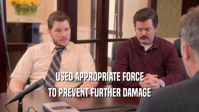 USED APPROPRIATE FORCE TO PREVENT FURTHER DAMAGE 