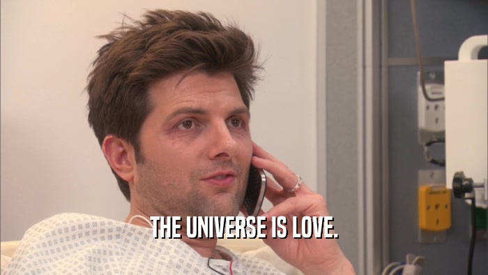 THE UNIVERSE IS LOVE.  