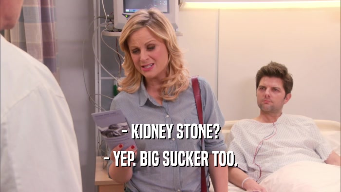 - KIDNEY STONE? - YEP. BIG SUCKER TOO. 
