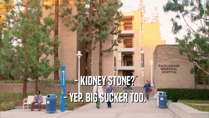 - KIDNEY STONE? - YEP. BIG SUCKER TOO. 