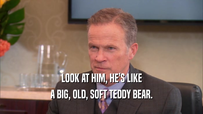 LOOK AT HIM, HE'S LIKE A BIG, OLD, SOFT TEDDY BEAR. 