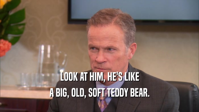 LOOK AT HIM, HE'S LIKE A BIG, OLD, SOFT TEDDY BEAR. 