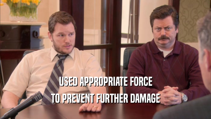 USED APPROPRIATE FORCE TO PREVENT FURTHER DAMAGE 