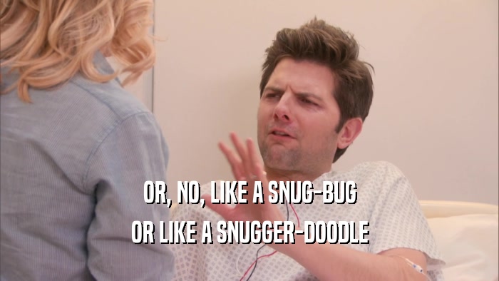 OR, NO, LIKE A SNUG-BUG OR LIKE A SNUGGER-DOODLE 