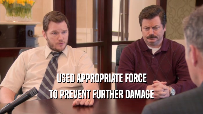 USED APPROPRIATE FORCE TO PREVENT FURTHER DAMAGE 