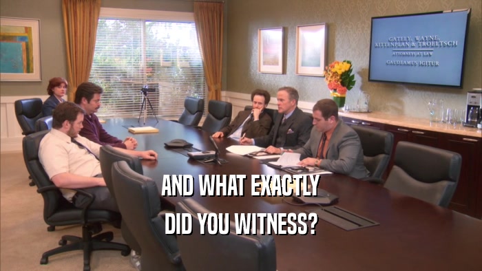 AND WHAT EXACTLY DID YOU WITNESS? 