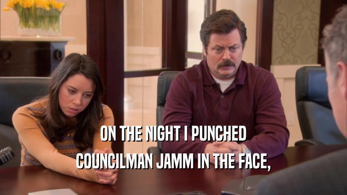 ON THE NIGHT I PUNCHED COUNCILMAN JAMM IN THE FACE, 