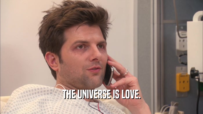 THE UNIVERSE IS LOVE.  