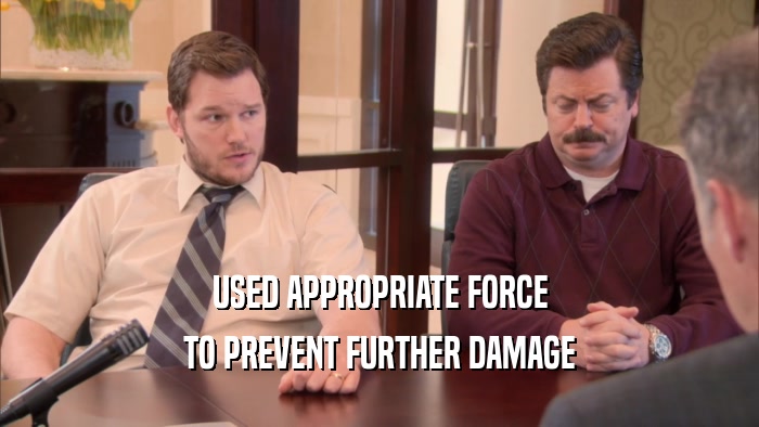 USED APPROPRIATE FORCE TO PREVENT FURTHER DAMAGE 