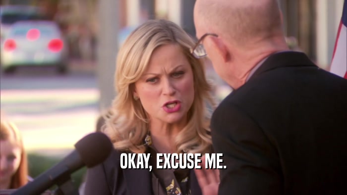 OKAY, EXCUSE ME.  