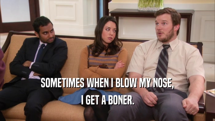 SOMETIMES WHEN I BLOW MY NOSE, I GET A BONER. 