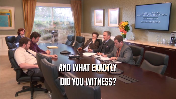 AND WHAT EXACTLY DID YOU WITNESS? 