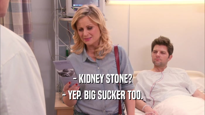 - KIDNEY STONE? - YEP. BIG SUCKER TOO. 