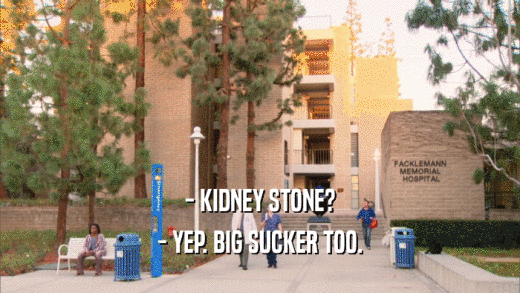 - KIDNEY STONE? - YEP. BIG SUCKER TOO. 