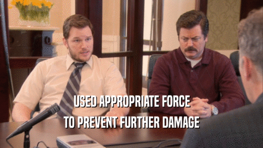 USED APPROPRIATE FORCE TO PREVENT FURTHER DAMAGE 