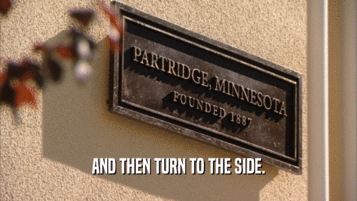 AND THEN TURN TO THE SIDE.  