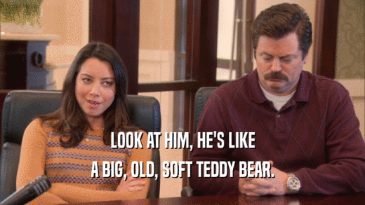 LOOK AT HIM, HE'S LIKE A BIG, OLD, SOFT TEDDY BEAR. 