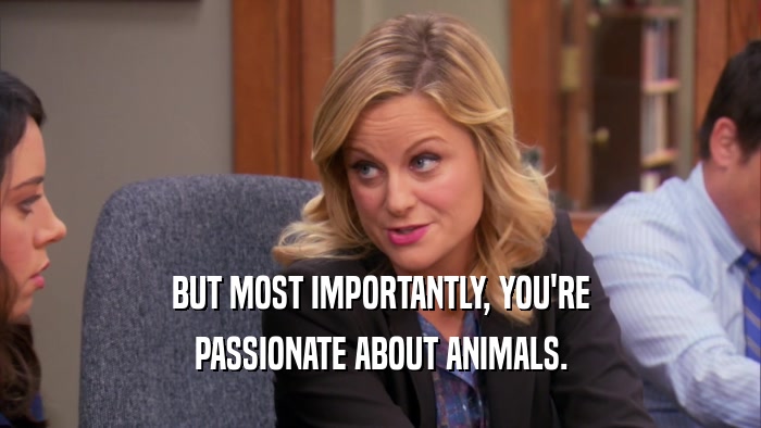 BUT MOST IMPORTANTLY, YOU'RE PASSIONATE ABOUT ANIMALS. 