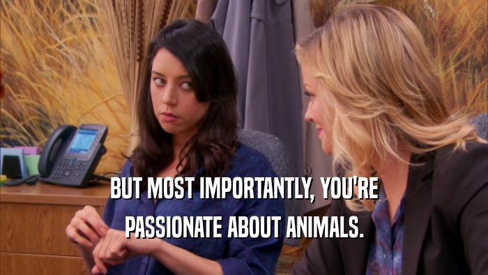 BUT MOST IMPORTANTLY, YOU'RE PASSIONATE ABOUT ANIMALS. 
