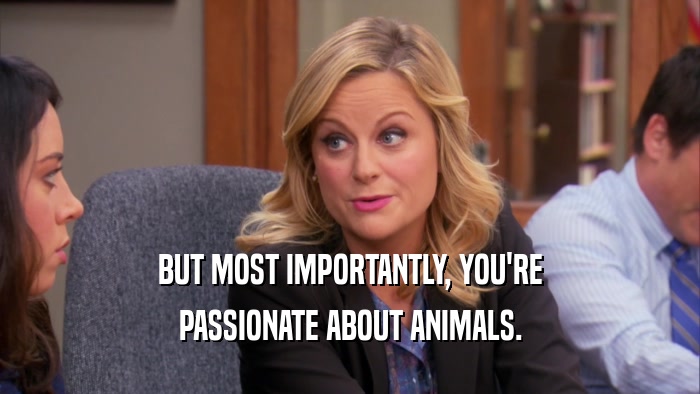 BUT MOST IMPORTANTLY, YOU'RE PASSIONATE ABOUT ANIMALS. 