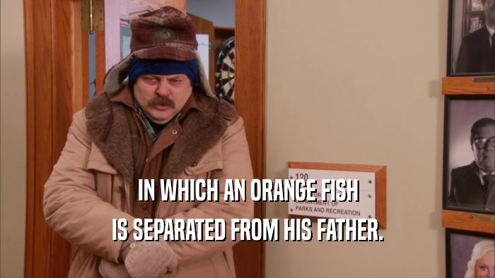 IN WHICH AN ORANGE FISH
 IS SEPARATED FROM HIS FATHER.
 