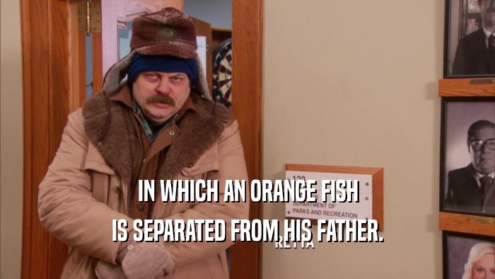 IN WHICH AN ORANGE FISH
 IS SEPARATED FROM HIS FATHER.
 