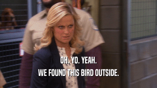 OH. YO. YEAH.
 WE FOUND THIS BIRD OUTSIDE.
 