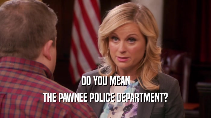 DO YOU MEAN THE PAWNEE POLICE DEPARTMENT? 