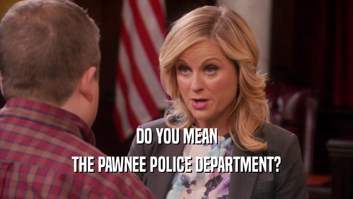 DO YOU MEAN THE PAWNEE POLICE DEPARTMENT? 