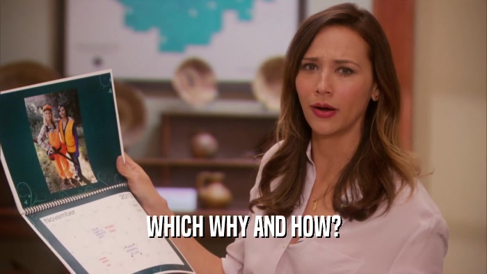 WHICH WHY AND HOW?  