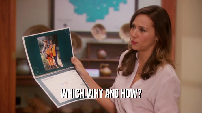 WHICH WHY AND HOW?  