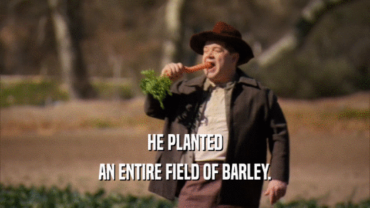HE PLANTED
 AN ENTIRE FIELD OF BARLEY.
 