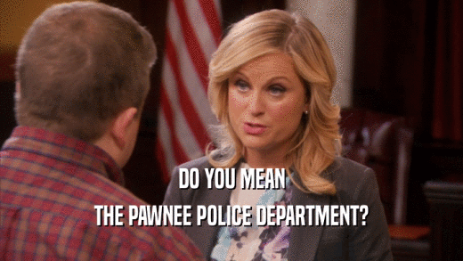 DO YOU MEAN THE PAWNEE POLICE DEPARTMENT? 