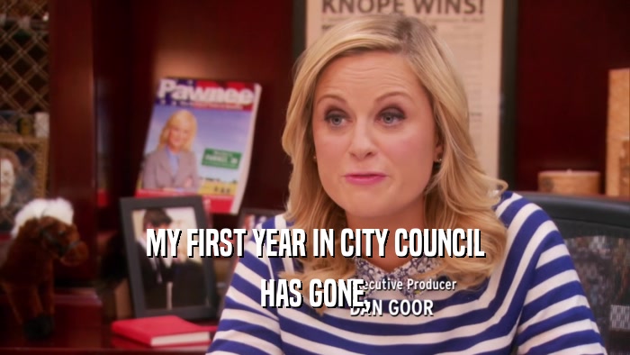 MY FIRST YEAR IN CITY COUNCIL HAS GONE, 