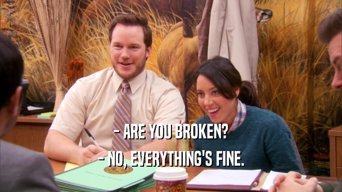 - ARE YOU BROKEN? - NO, EVERYTHING'S FINE. 