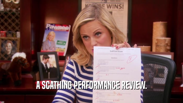 A SCATHING PERFORMANCE REVIEW.  