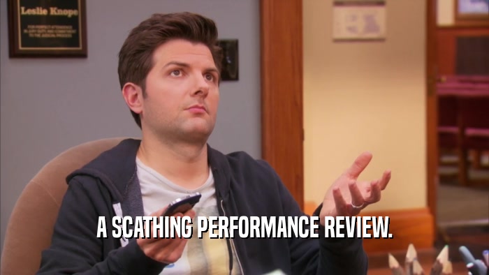 A SCATHING PERFORMANCE REVIEW.  