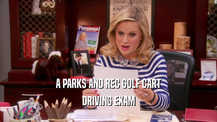 A PARKS AND REC GOLF CART DRIVING EXAM 
