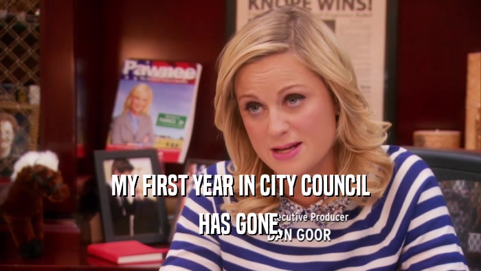 MY FIRST YEAR IN CITY COUNCIL
 HAS GONE,
 