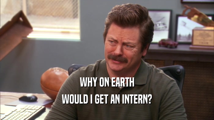 WHY ON EARTH
 WOULD I GET AN INTERN?
 