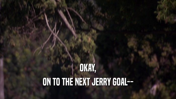 OKAY, ON TO THE NEXT JERRY GOAL-- 