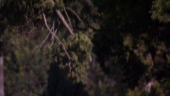 OKAY, ON TO THE NEXT JERRY GOAL-- 