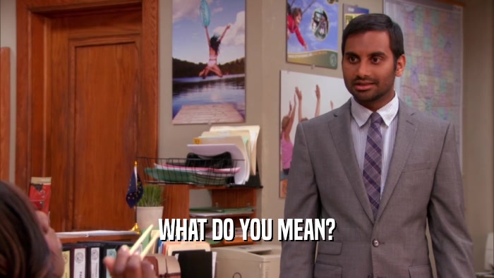 WHAT DO YOU MEAN?  