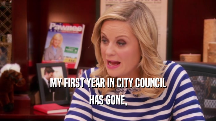 MY FIRST YEAR IN CITY COUNCIL HAS GONE, 
