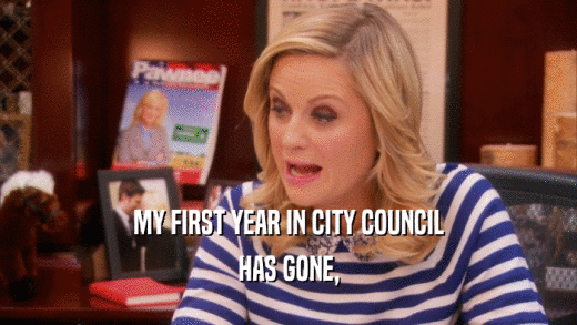 MY FIRST YEAR IN CITY COUNCIL
 HAS GONE,
 