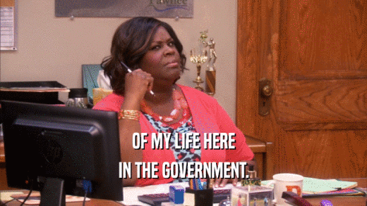 OF MY LIFE HERE IN THE GOVERNMENT. 