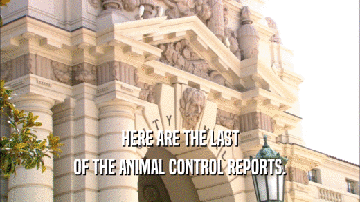 HERE ARE THE LAST OF THE ANIMAL CONTROL REPORTS. 