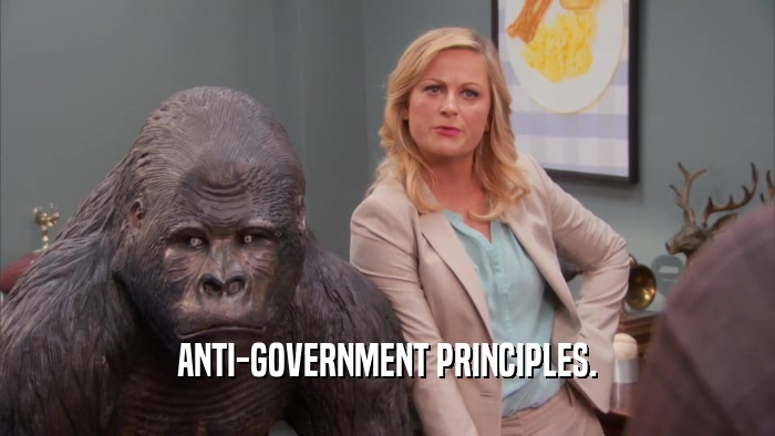 ANTI-GOVERNMENT PRINCIPLES.  