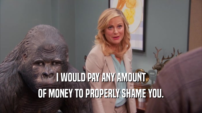 I WOULD PAY ANY AMOUNT OF MONEY TO PROPERLY SHAME YOU. 